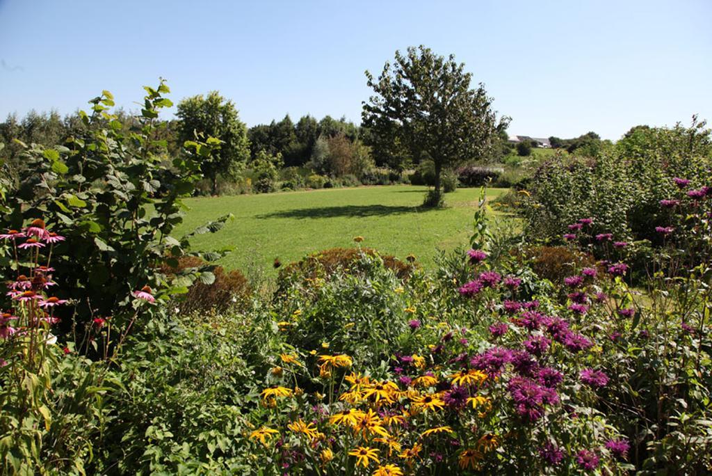 La Citadelle D'Hututu Bed & Breakfast Avesnes-sur-Helpe Екстериор снимка